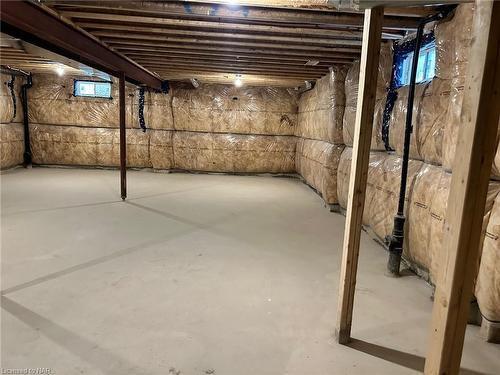 101 Palace Street, Thorold, ON - Indoor Photo Showing Basement