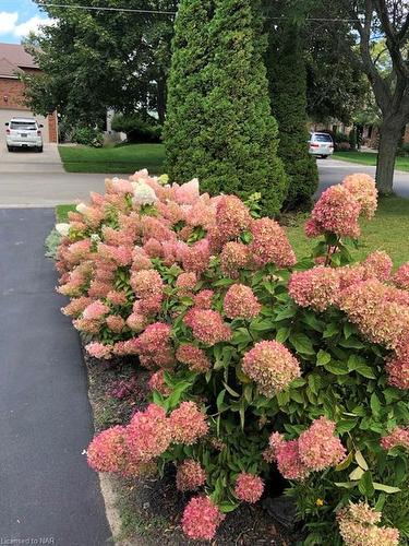 8 Meadowbrook Lane, Pelham, ON - Outdoor