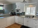 164 Dalhousie Avenue, St. Catharines, ON  - Indoor Photo Showing Kitchen With Double Sink 