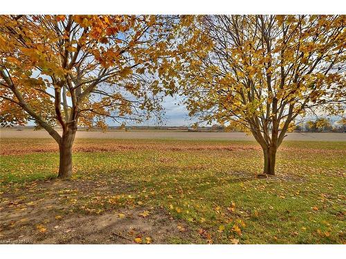 12017 Station Road, Wainfleet, ON - Outdoor With View