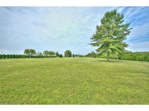 1540 Concession 6 Rd Road, Niagara-On-The-Lake, ON - Outdoor With View