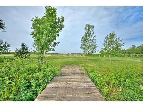 1540 Concession 6 Rd Road, Niagara-On-The-Lake, ON - Outdoor With View