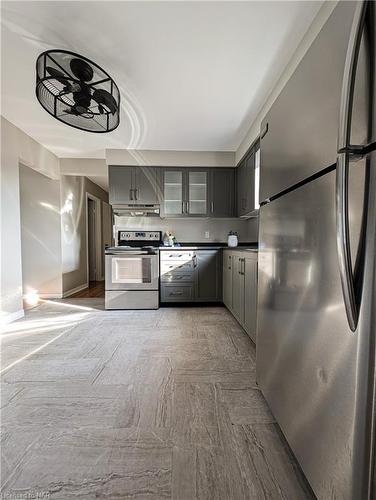 164 Windsor Street, Welland, ON - Indoor Photo Showing Kitchen With Stainless Steel Kitchen