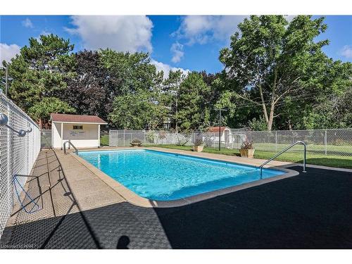 381 Niagara Street, St. Catharines, ON - Outdoor With In Ground Pool With Backyard