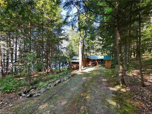 1077 Rignalls Road E, Bracebridge, ON - Outdoor