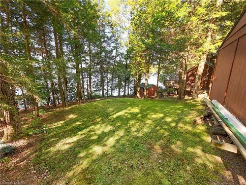 1077 Rignalls Road E, Bracebridge, ON - Outdoor