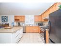 107 Napa Lane, Hamilton, ON  - Indoor Photo Showing Kitchen With Double Sink 