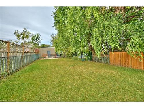 223 Niagara Street, St. Catharines, ON - Outdoor With Backyard