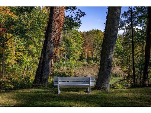 4905 North Forest Road, Ridgeway, ON - Outdoor With View