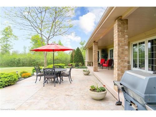 5045 Michener Road, Ridgeway, ON - Outdoor With Deck Patio Veranda