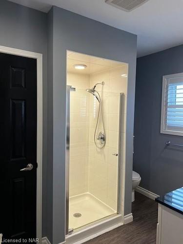 48 Mcdonald Avenue, Thorold, ON - Indoor Photo Showing Bathroom