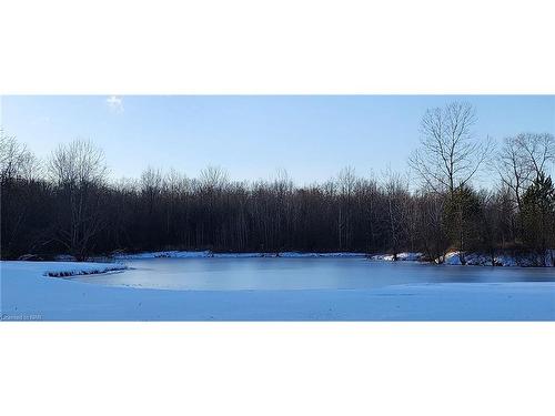 50672 Green Road S, Wainfleet, ON - Outdoor