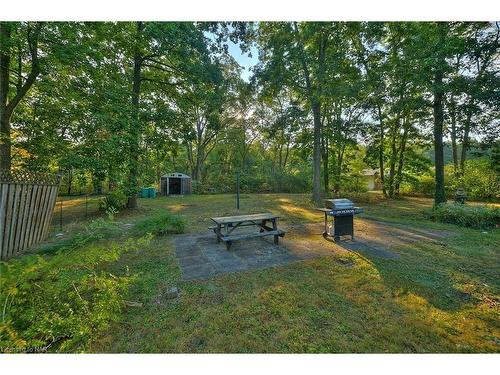 548 Prospect Point Road N, Ridgeway, ON - Outdoor With Backyard