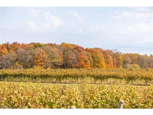 3753 Quarry Road, Lincoln, ON - Outdoor With View