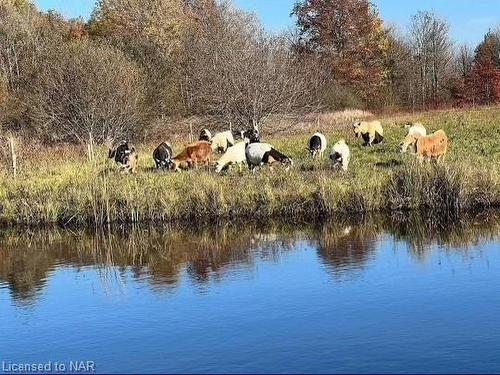 51267 Tunnacliffe Road S, Wainfleet, ON - Outdoor With Body Of Water With View