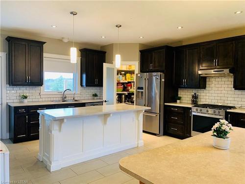 53672 Heritage Line, Aylmer, ON - Indoor Photo Showing Kitchen With Stainless Steel Kitchen With Double Sink With Upgraded Kitchen