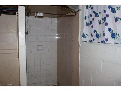 2830 Norfolk County Road, Langton, ON - Indoor Photo Showing Bathroom