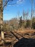Lot 5 Huron View Avenue, Forest, ON 