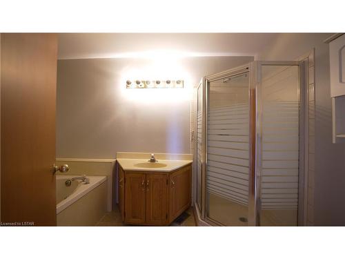 786660 Township Road 6, Drumbo, ON - Indoor Photo Showing Bathroom