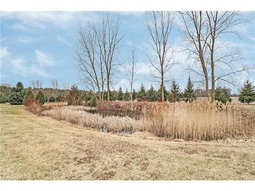 23022 Thomson Line, Rodney, ON - Outdoor With View