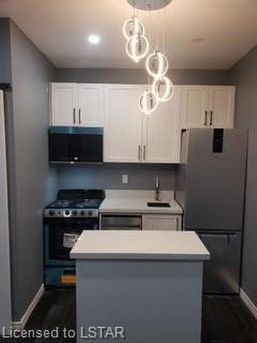 28 Oxford Street W, London, ON - Indoor Photo Showing Kitchen With Double Sink