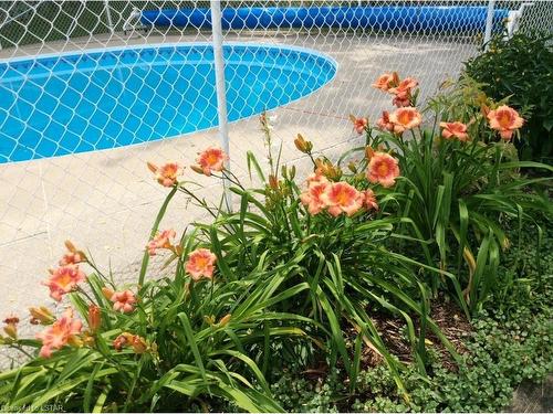 383 Mcnay Place, London, ON - Outdoor With In Ground Pool