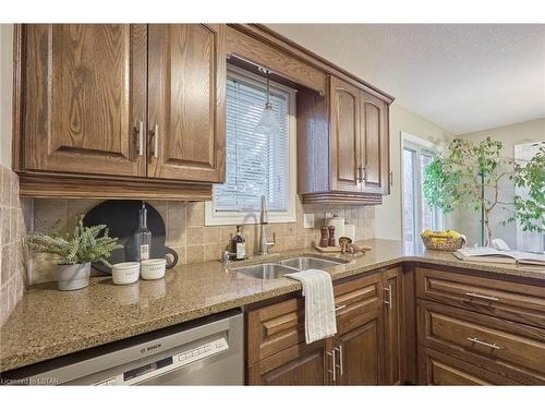 107 Elizabeth Street Street, Delaware, ON - Indoor Photo Showing Kitchen With Double Sink