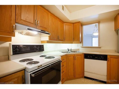 304-511 Gainsborough Road, London, ON - Indoor Photo Showing Kitchen With Double Sink