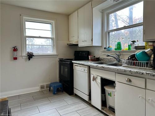 157 Chestnut Street, St. Thomas, ON - Indoor Photo Showing Kitchen With Double Sink