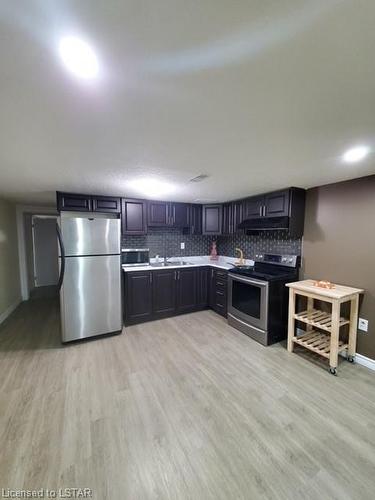 494 Commissioners Road E, London, ON - Indoor Photo Showing Kitchen With Stainless Steel Kitchen