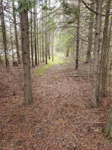 421 Warner Bay Road, Northern Bruce Peninsula, ON - Outdoor With View