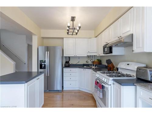 203 Emerald Road, London, ON - Indoor Photo Showing Kitchen With Double Sink