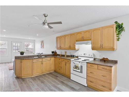 509 Nelson Street, London, ON - Indoor Photo Showing Kitchen With Double Sink