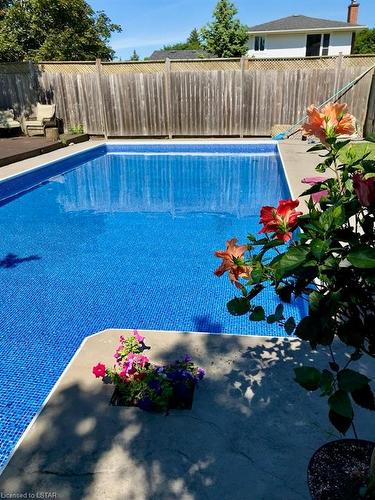 4 Concord Crescent, London, ON - Outdoor With In Ground Pool