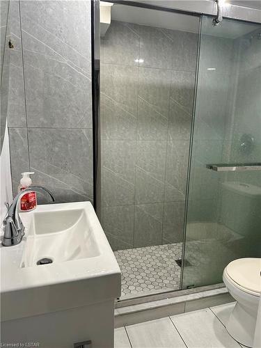 Lower-139 Britannia Avenue, London, ON - Indoor Photo Showing Bathroom