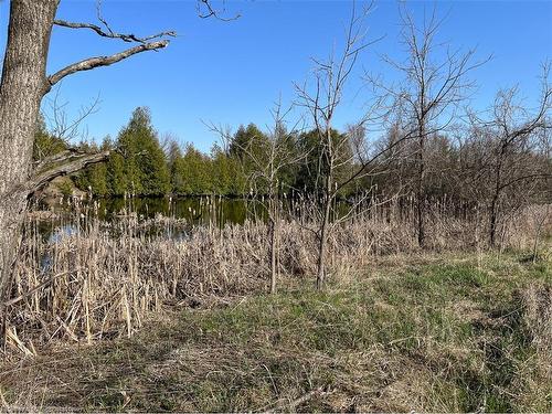 1457 97 Regional Road, Flamborough, ON - Outdoor With View