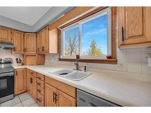 918 Concession 6 Road, Jarvis, ON - Indoor Photo Showing Kitchen With Double Sink