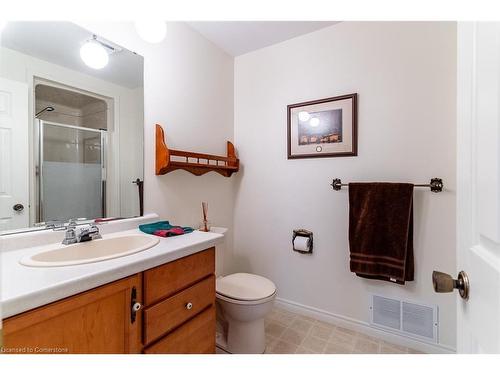 47 Winter Way, Brantford, ON - Indoor Photo Showing Bathroom