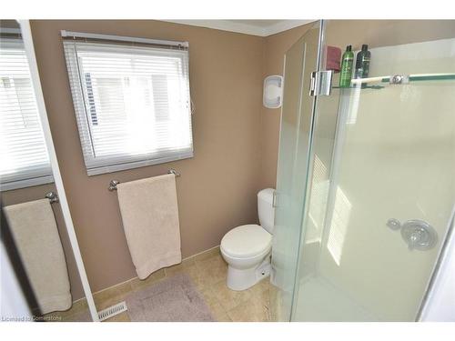 147 Maple Crescent, Flamborough, ON - Indoor Photo Showing Bathroom