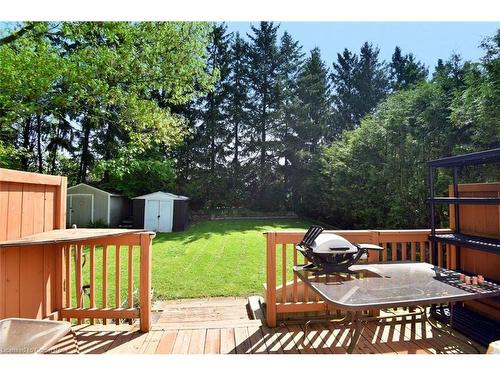 147 Maple Crescent, Flamborough, ON - Outdoor With Deck Patio Veranda With Backyard