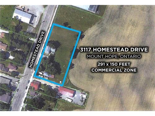 3117 Homestead Drive, Hamilton, ON 