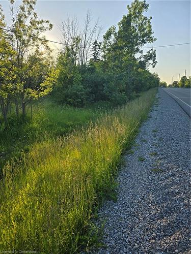 1533 54 Highway, Haldimand County, ON 