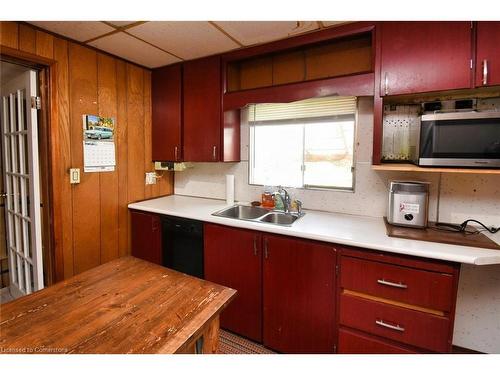 17 Craigroyston Road, Hamilton, ON - Indoor Photo Showing Kitchen With Double Sink