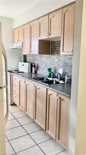 504-174 Herkimer Street, Hamilton, ON - Indoor Photo Showing Kitchen With Double Sink