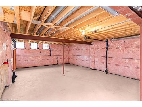 9538 Tallgrass Avenue, Niagara Falls, ON - Indoor Photo Showing Basement