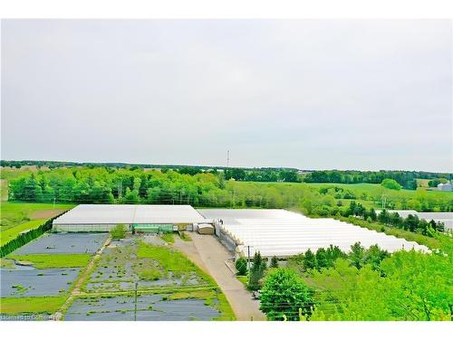 2492 Highway 24, Simcoe, ON - Outdoor With View