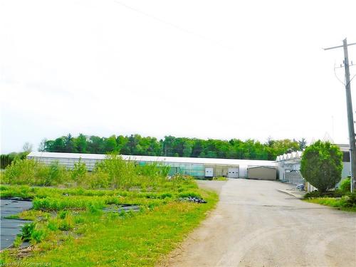 2492 Highway 24, Simcoe, ON - Outdoor With View