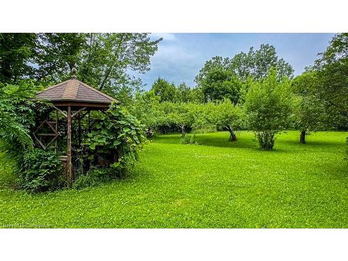 339 Old Guelph Road, Dundas, ON - Outdoor With Backyard