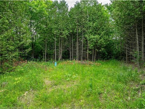 Lot 31 8Th Concession B, Grey Highlands, ON 