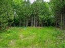 Lot 31 8Th Concession B, Grey Highlands, ON 